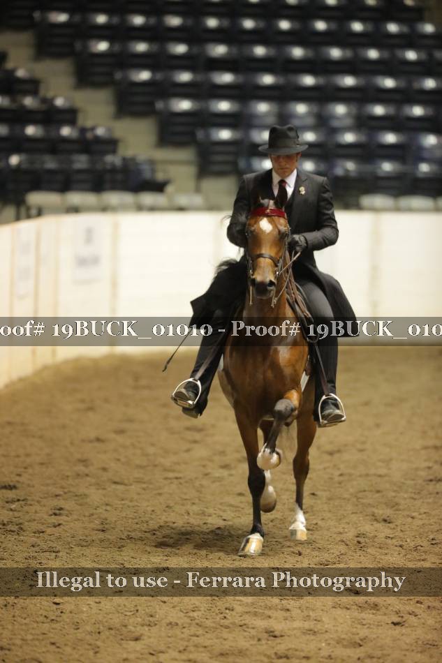 Proof 19BUCK_01010