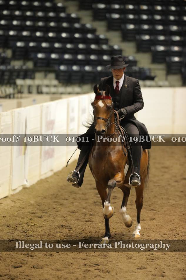 Proof 19BUCK_01011