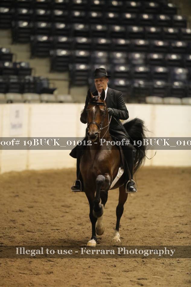 Proof 19BUCK_01012