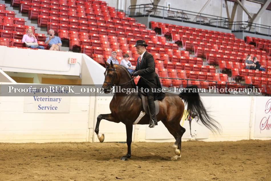 Proof 19BUCK_01013