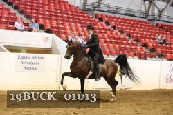 19BUCK_01013 proof