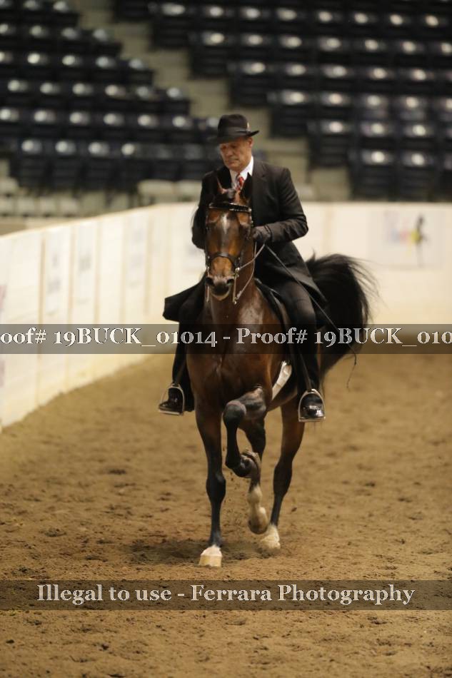 Proof 19BUCK_01014