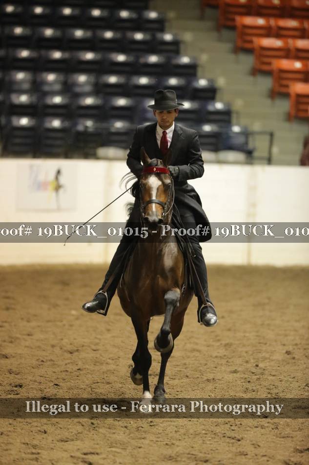 Proof 19BUCK_01015