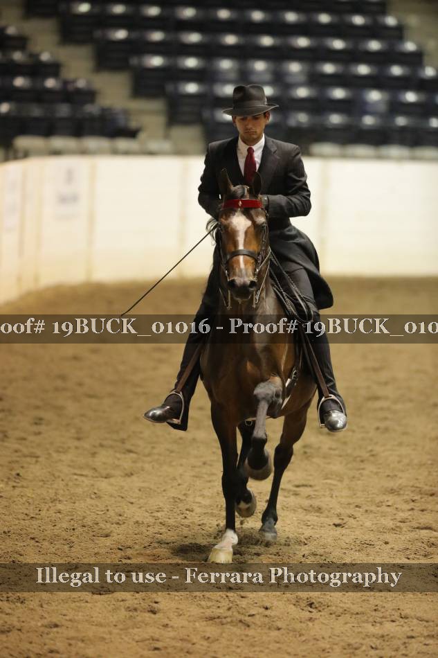 Proof 19BUCK_01016