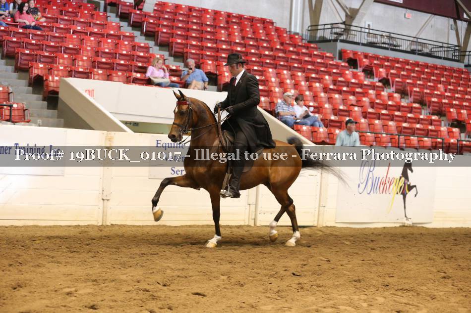 Proof 19BUCK_01017