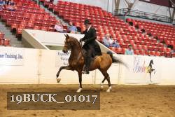 19BUCK_01017 proof