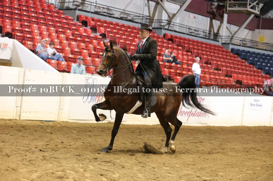 Proof 19BUCK_01018