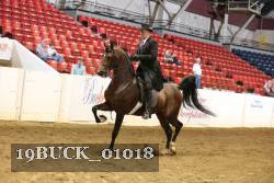 19BUCK_01018 proof