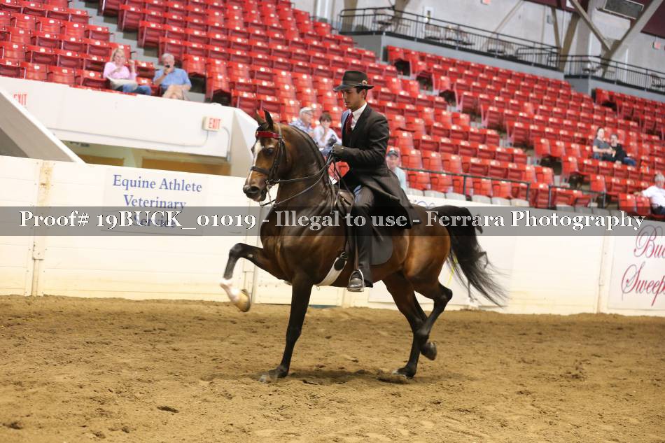 Proof 19BUCK_01019