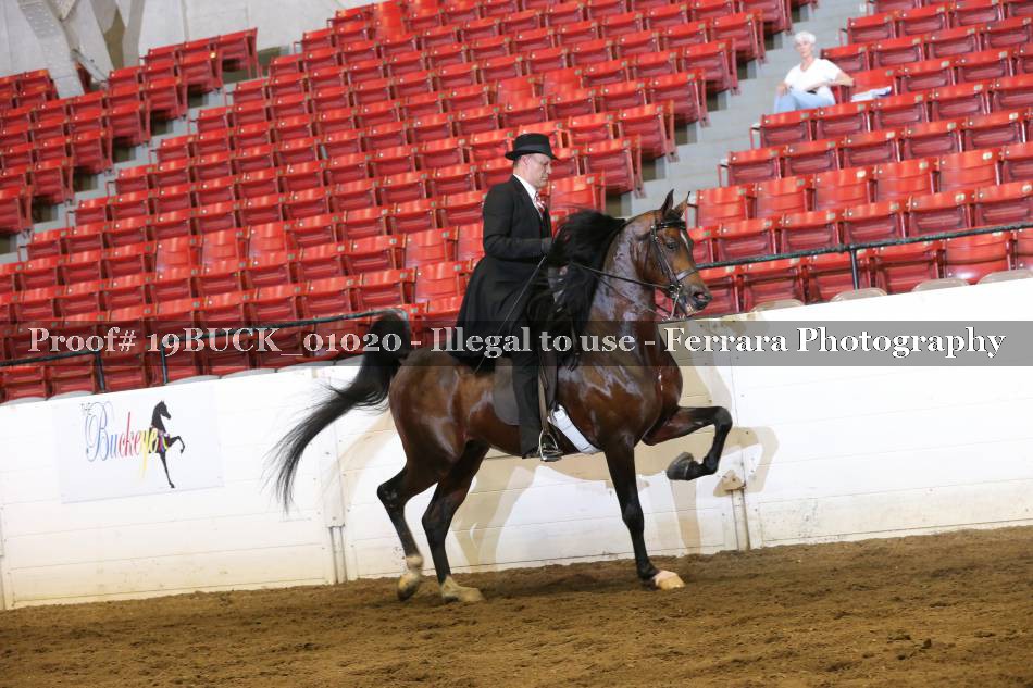 Proof 19BUCK_01020