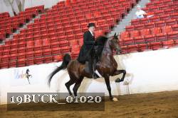 19BUCK_01020 proof