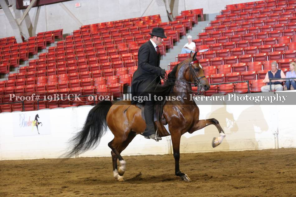 Proof 19BUCK_01021