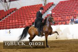 19BUCK_01021 proof