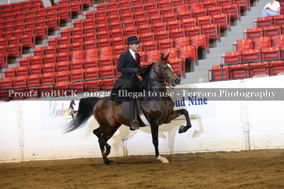Proof 19BUCK_01022
