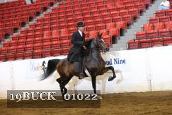 19BUCK_01022 proof