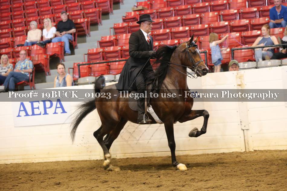 Proof 19BUCK_01023