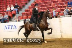 19BUCK_01023 proof