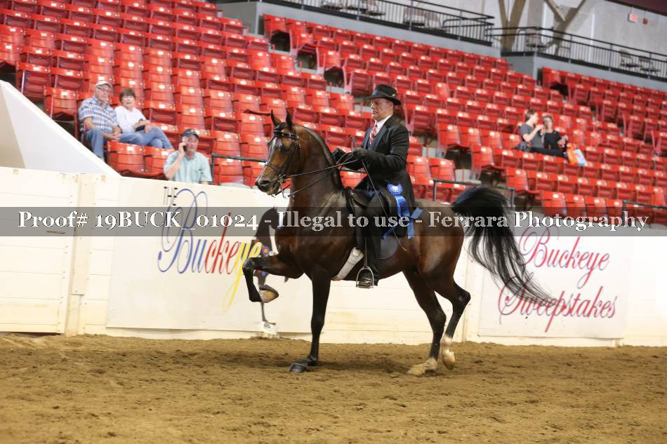 Proof 19BUCK_01024
