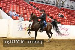 19BUCK_01024 proof