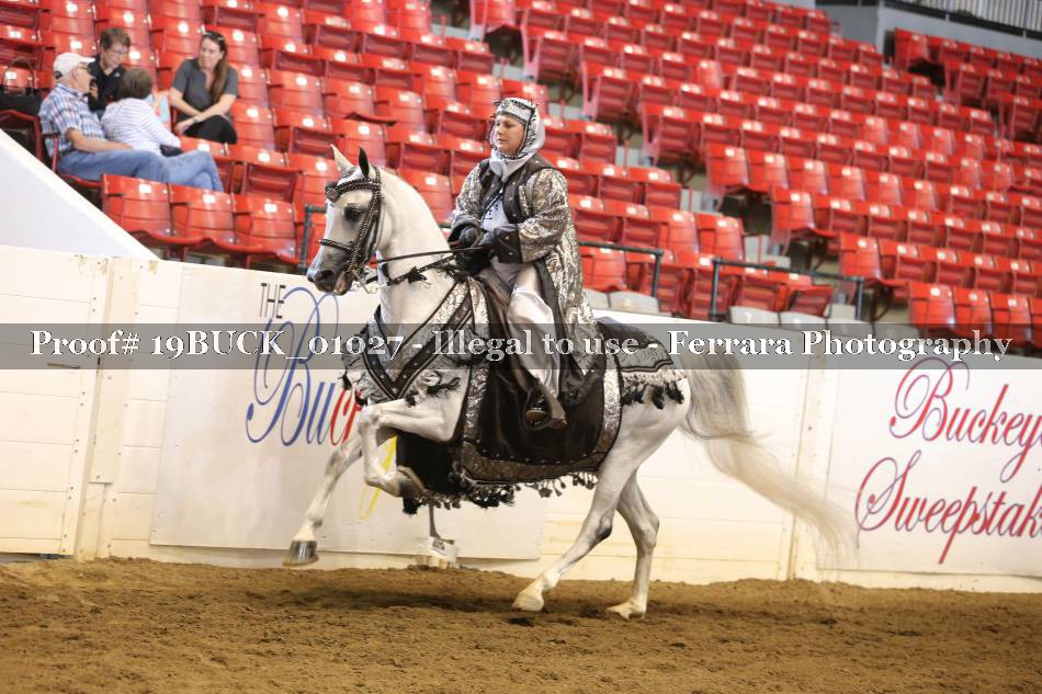 Proof 19BUCK_01027