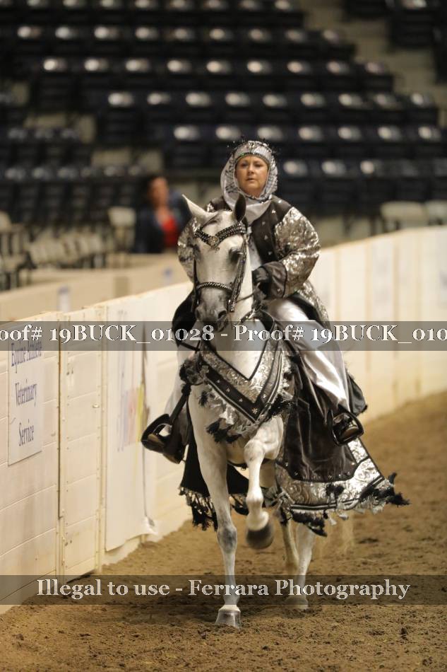 Proof 19BUCK_01028