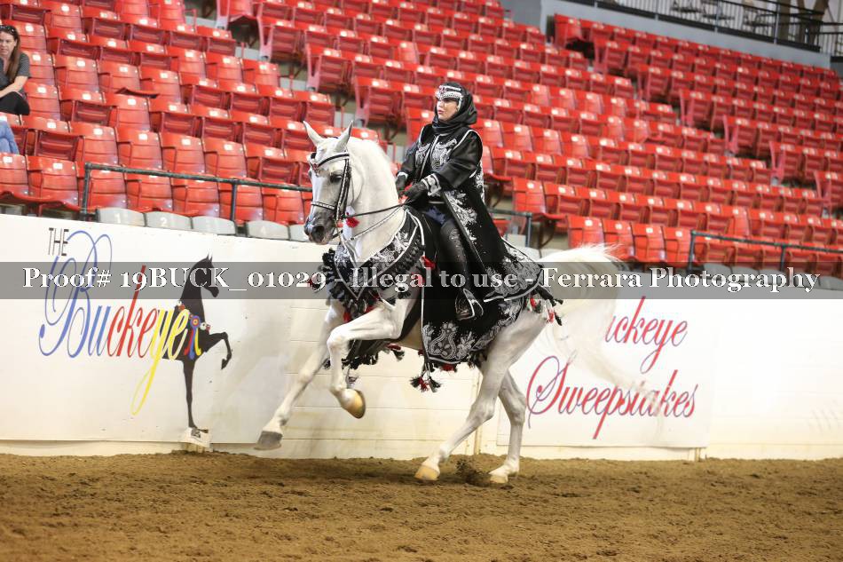 Proof 19BUCK_01029