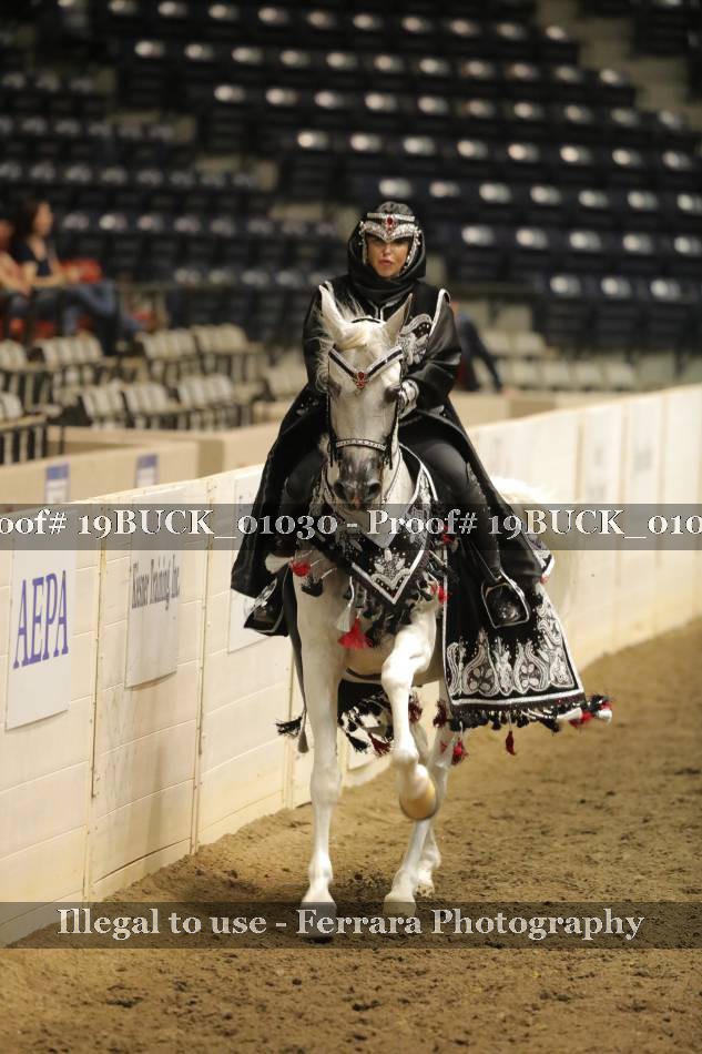 Proof 19BUCK_01030