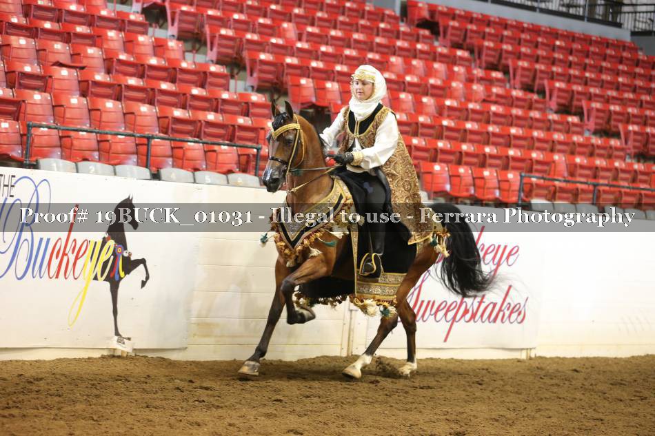 Proof 19BUCK_01031
