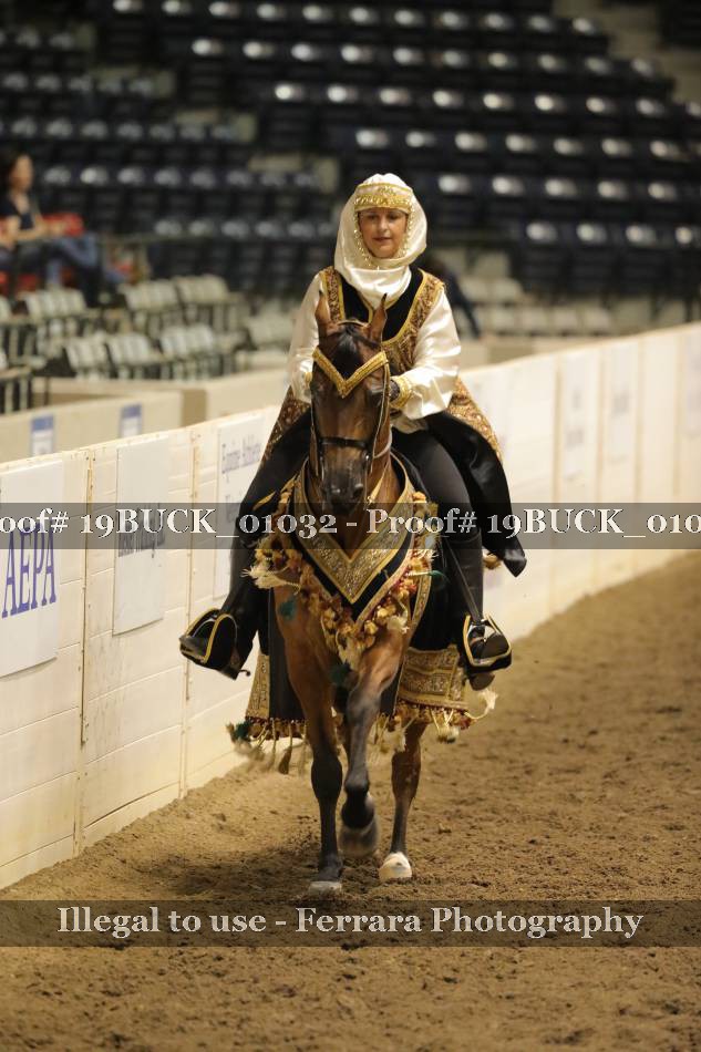 Proof 19BUCK_01032