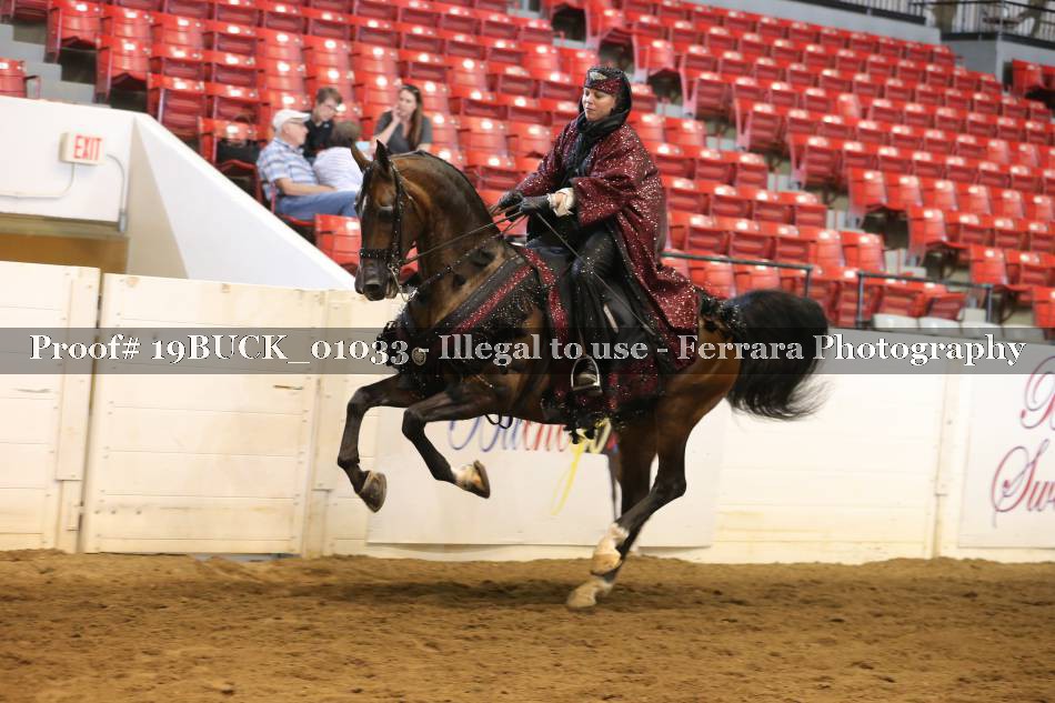 Proof 19BUCK_01033
