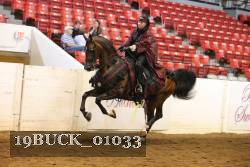 19BUCK_01033 proof
