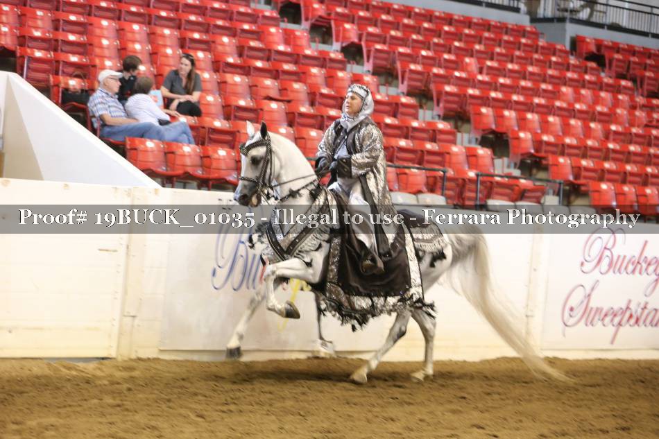 Proof 19BUCK_01035