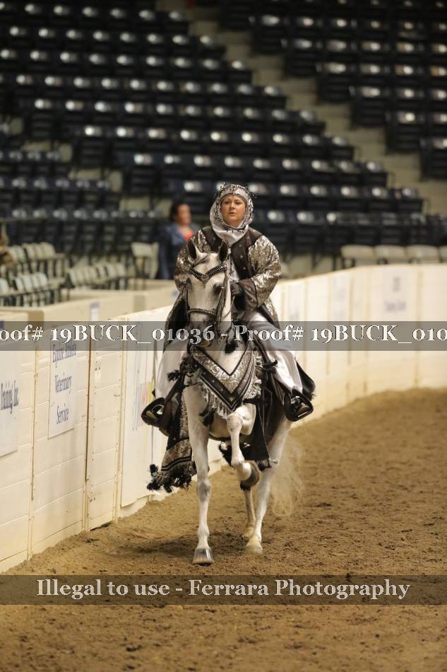 Proof 19BUCK_01036
