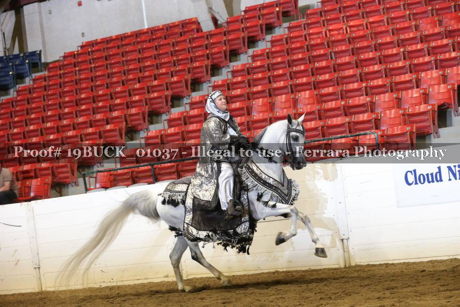 Proof 19BUCK_01037