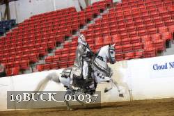 19BUCK_01037 proof