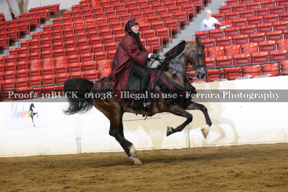 Proof 19BUCK_01038