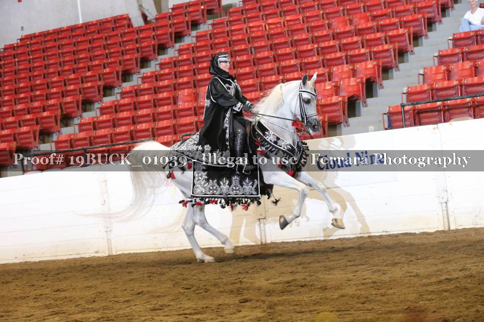 Proof 19BUCK_01039
