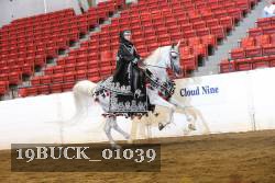 19BUCK_01039 proof
