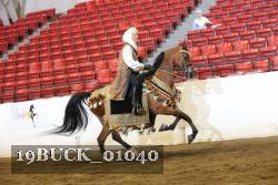 19BUCK_01040 proof