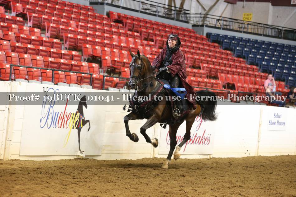 Proof 19BUCK_01041