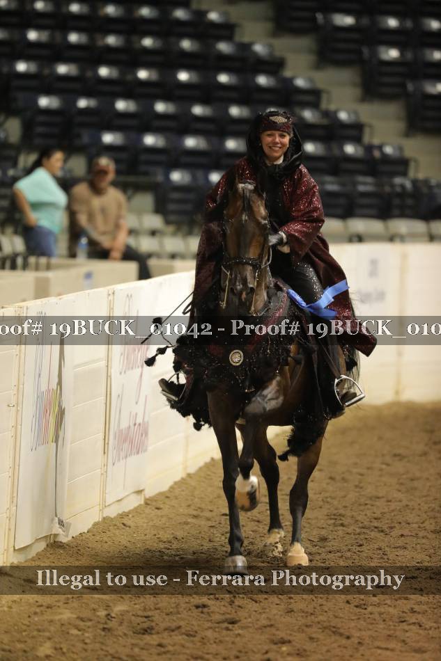 Proof 19BUCK_01042