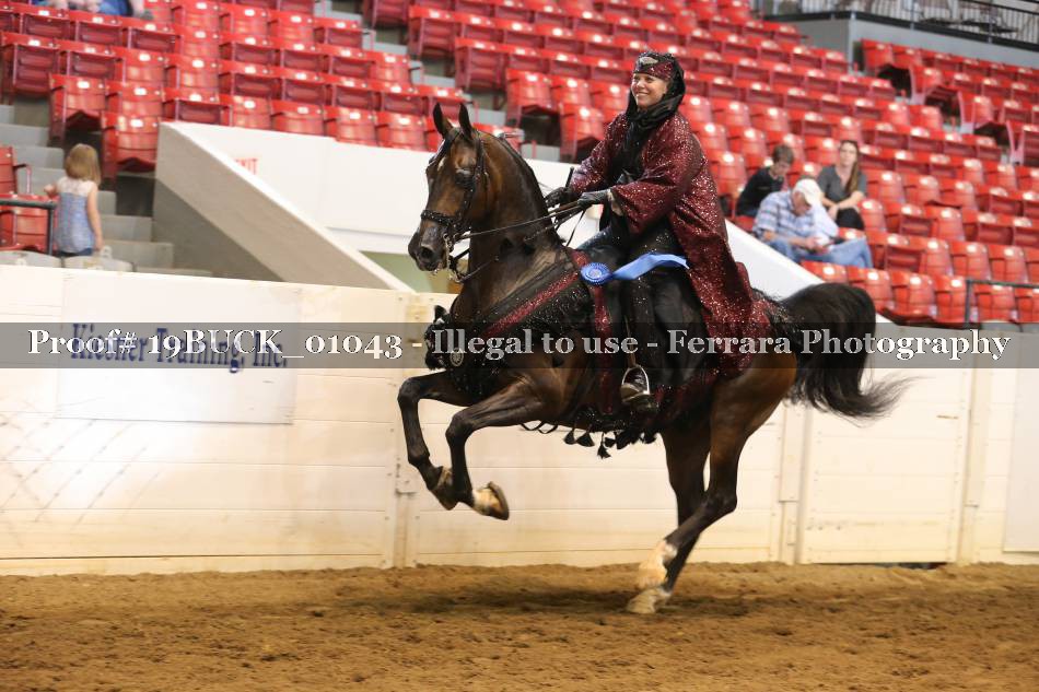 Proof 19BUCK_01043