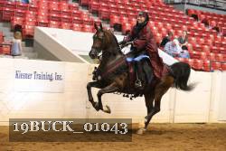19BUCK_01043 proof