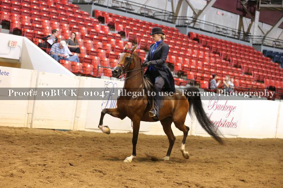 Proof 19BUCK_01047
