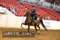 19BUCK_01047 proof