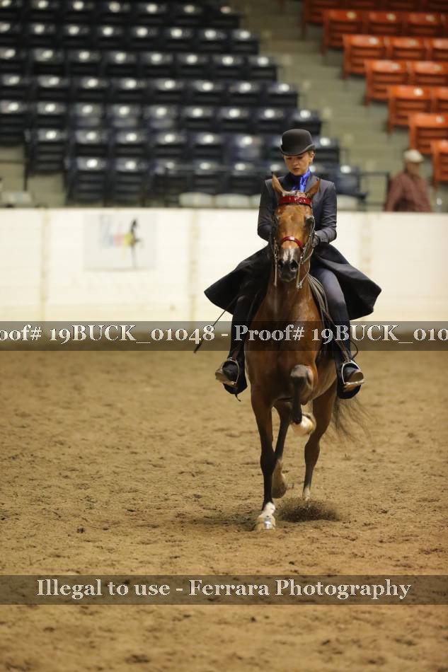 Proof 19BUCK_01048