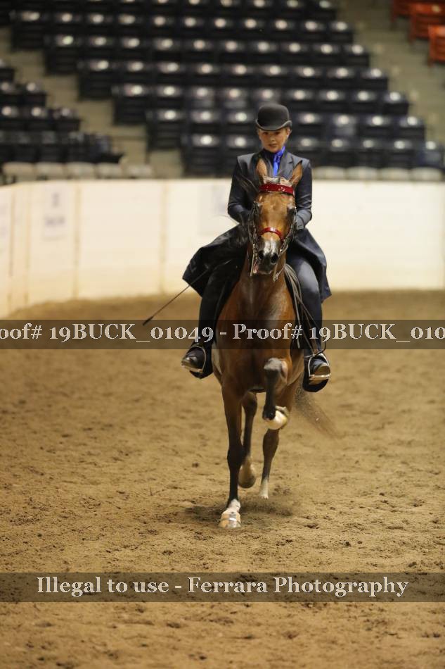 Proof 19BUCK_01049