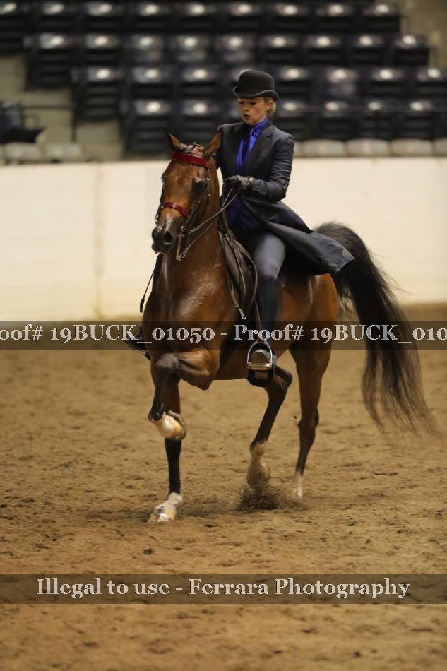 Proof 19BUCK_01050