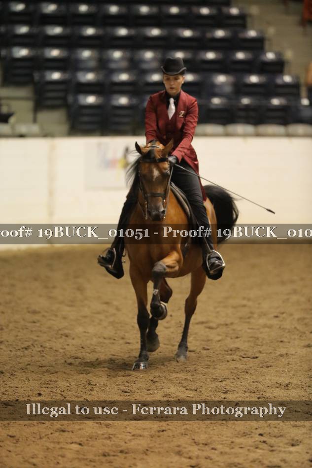 Proof 19BUCK_01051