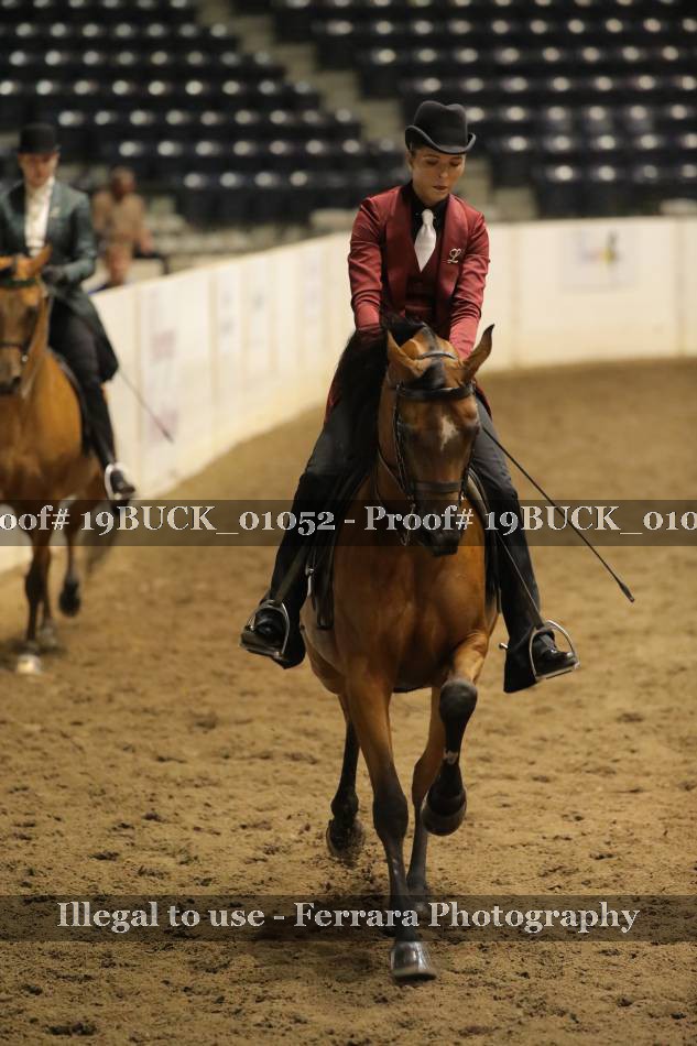 Proof 19BUCK_01052